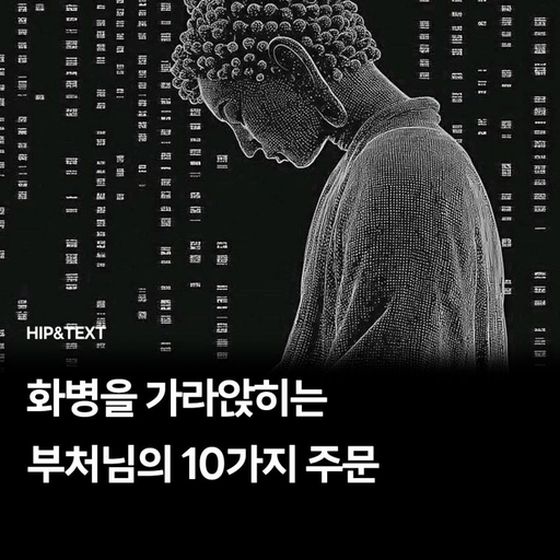 피드 이미지