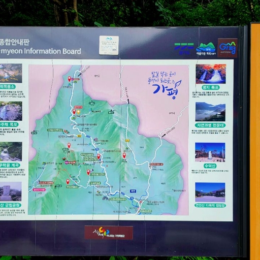 피드 이미지