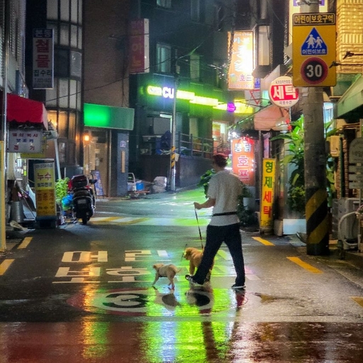 피드 이미지