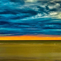 피드에 업로드 된 이미지