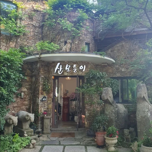 피드 이미지