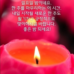 피드에 업로드 된 이미지