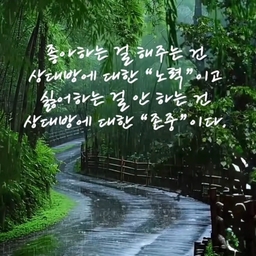 피드에 업로드 된 이미지