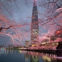 피드 작성자 프로필