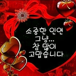 피드에 업로드 된 이미지