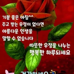 피드에 업로드 된 이미지