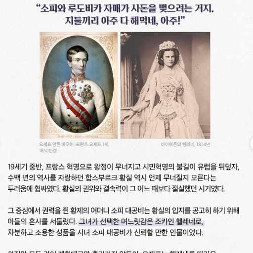 피드 이미지