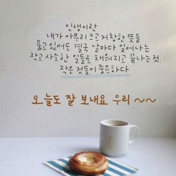 피드에 업로드 된 이미지