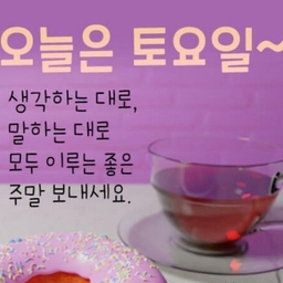 피드에 업로드 된 이미지