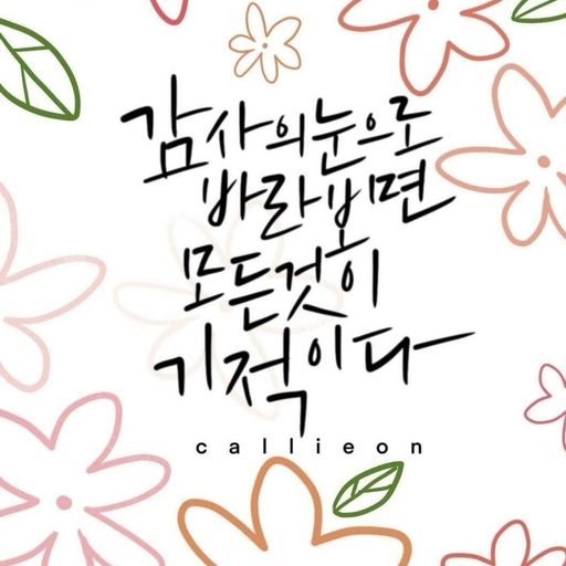 피드 이미지