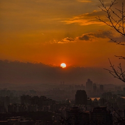 피드에 업로드 된 이미지