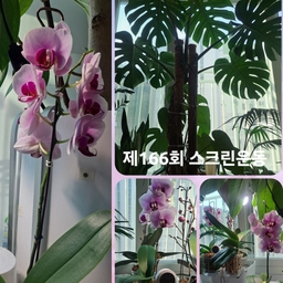 피드에 업로드 된 이미지