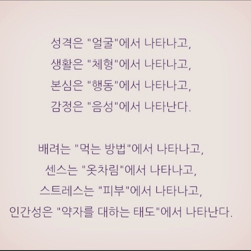 피드 이미지