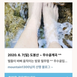 피드에 업로드 된 이미지