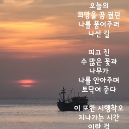 피드에 업로드 된 이미지