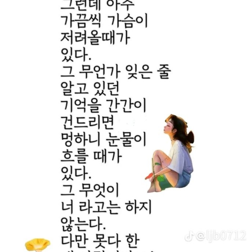 피드 이미지