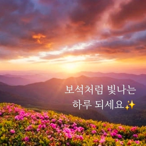 피드 이미지