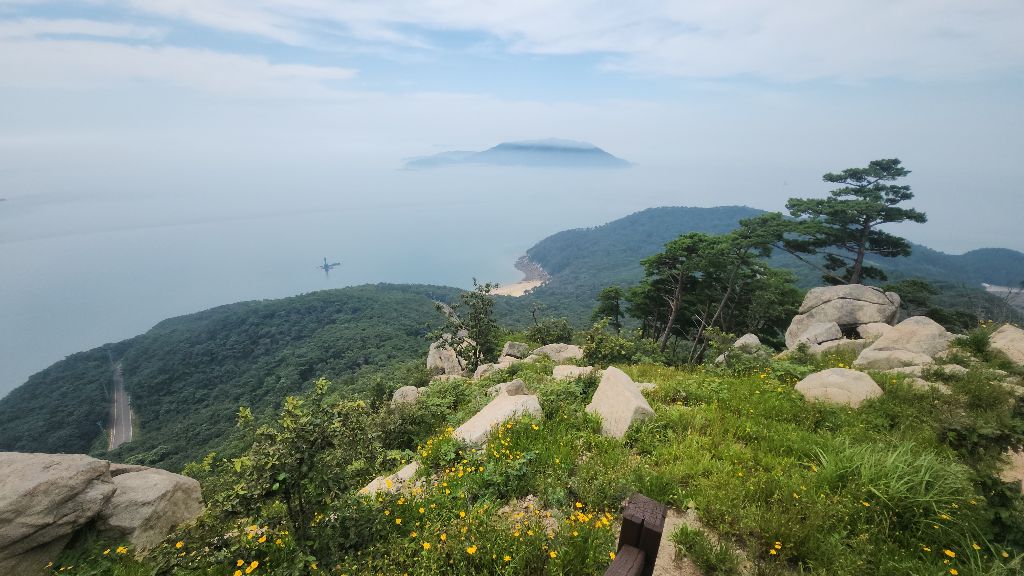 피드 이미지