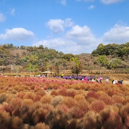 피드에 업로드 된 이미지