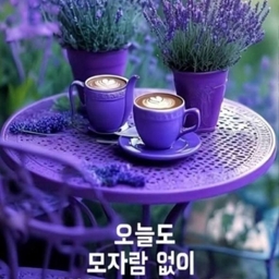 피드에 업로드 된 이미지