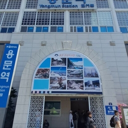 피드에 업로드 된 이미지