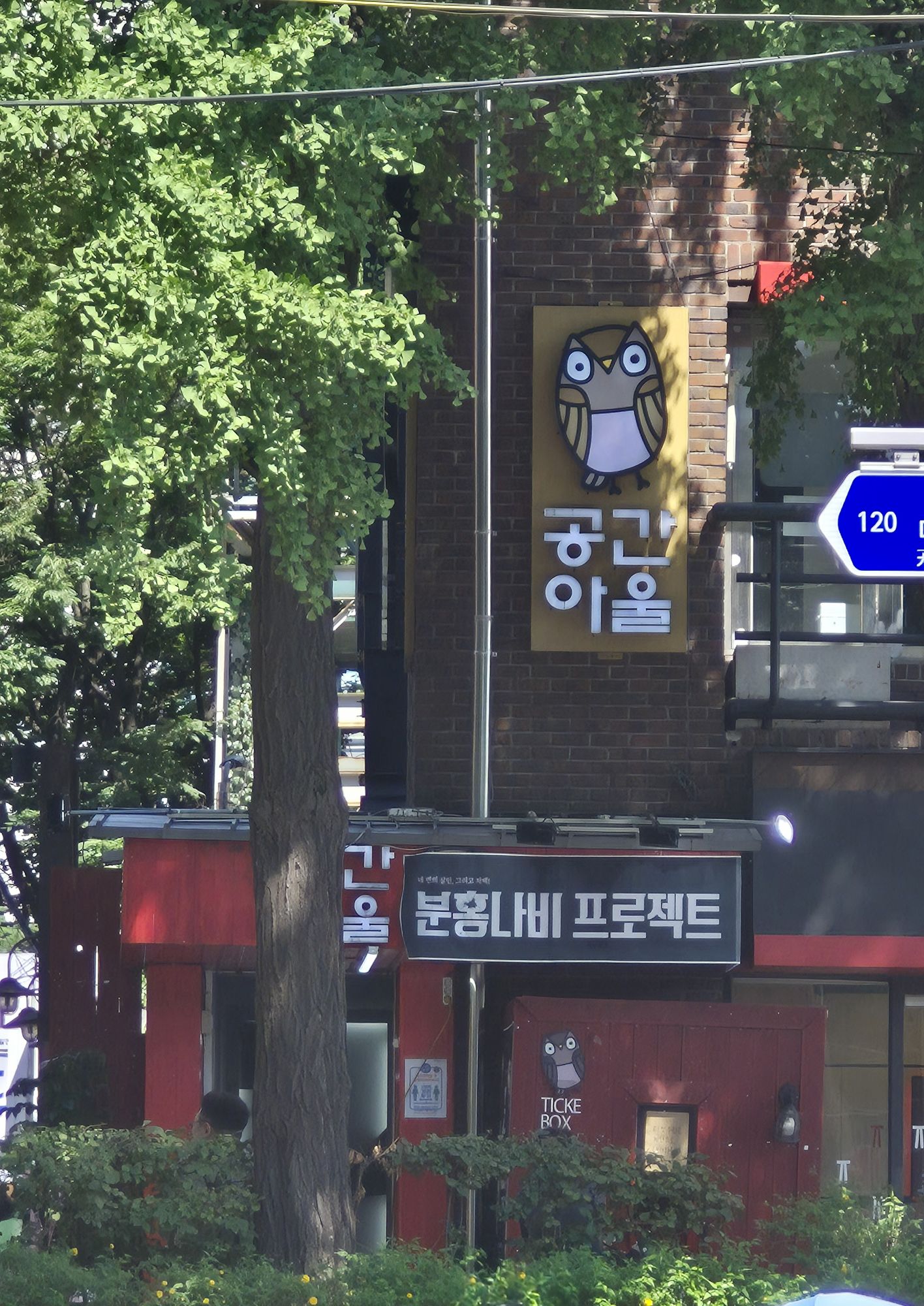 피드 이미지