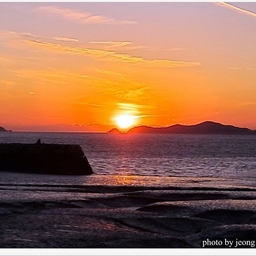 피드에 업로드 된 이미지