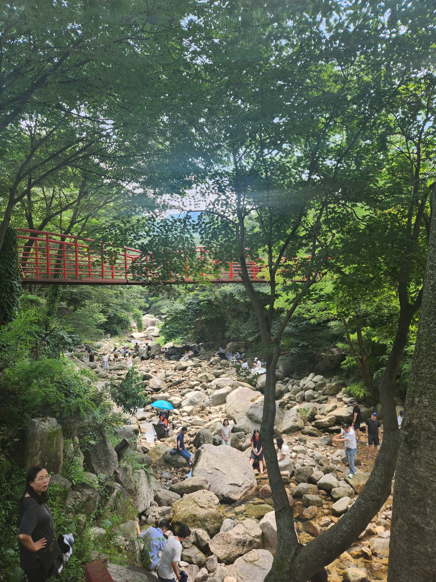 피드 이미지