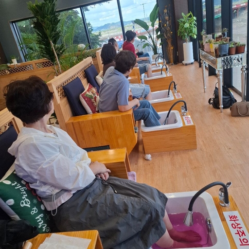 피드 이미지