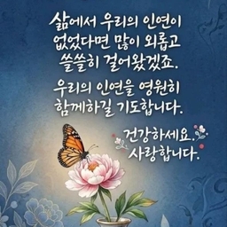 피드에 업로드 된 이미지