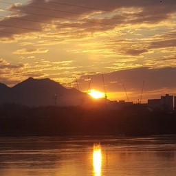 피드에 업로드 된 이미지