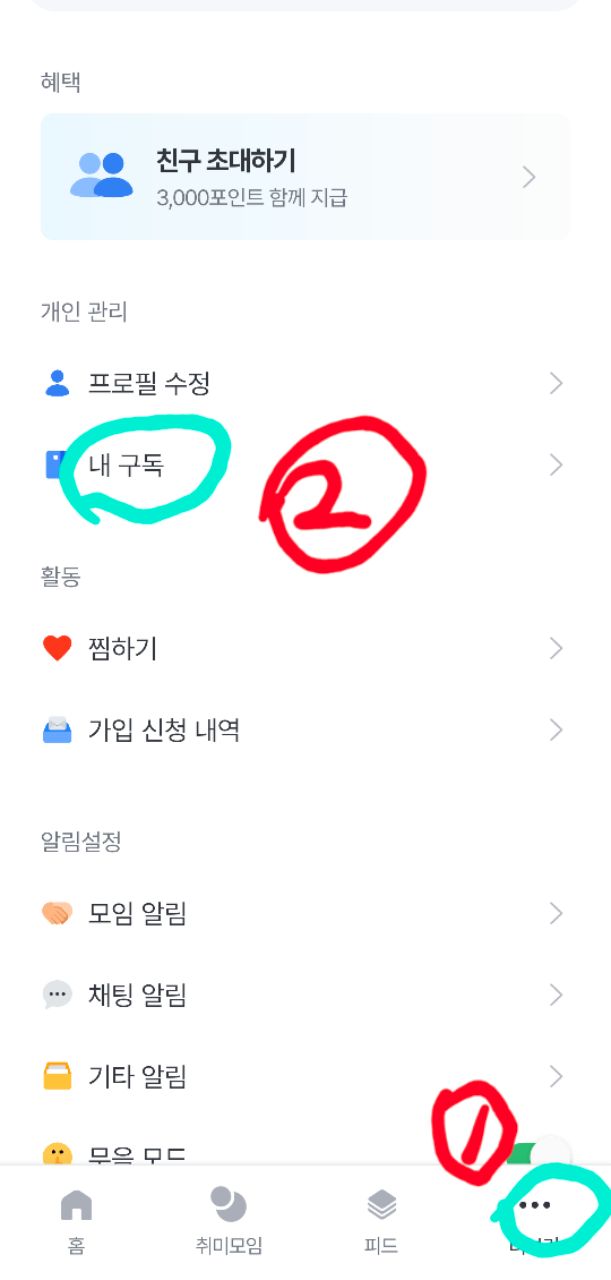 피드 이미지