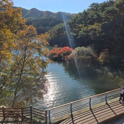피드에 업로드 된 이미지