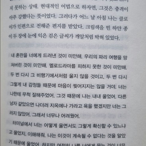 피드 이미지