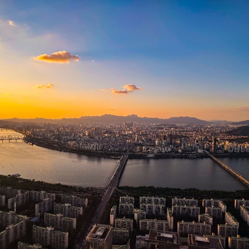 피드 이미지