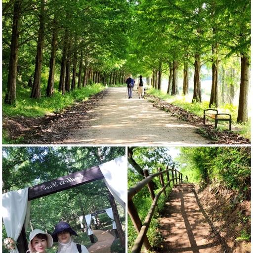 피드 이미지