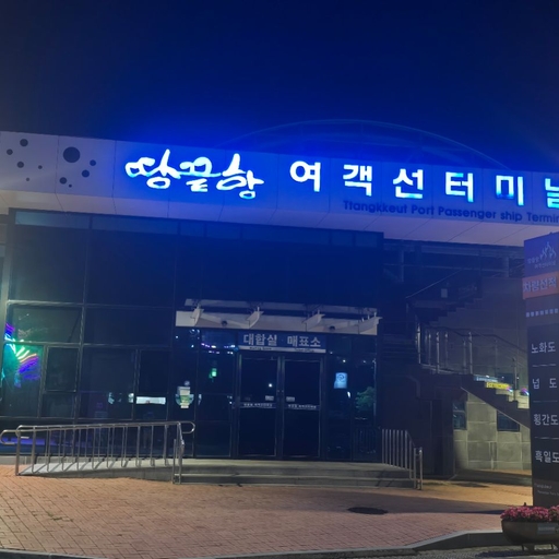 피드 이미지