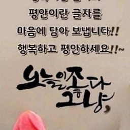 피드에 업로드 된 이미지