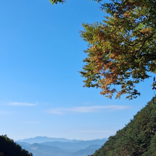피드 이미지