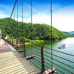 피드에 업로드 된 이미지