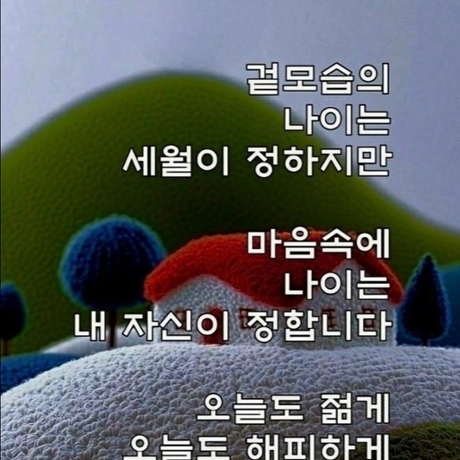 피드 이미지
