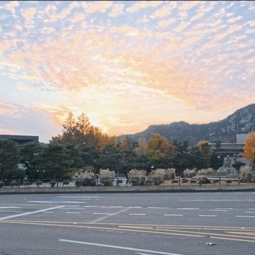피드 이미지