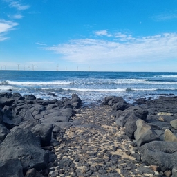 피드에 업로드 된 이미지