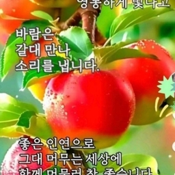 피드에 업로드 된 이미지