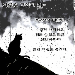 피드에 업로드 된 이미지