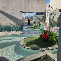 피드에 업로드 된 이미지