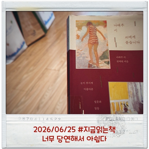피드 이미지