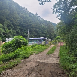 피드에 업로드 된 이미지