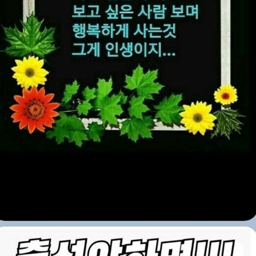 피드 이미지