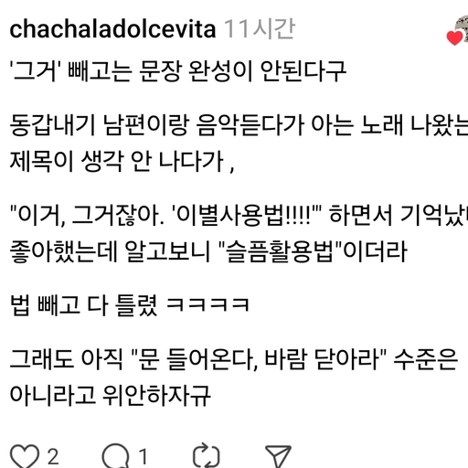 피드 이미지
